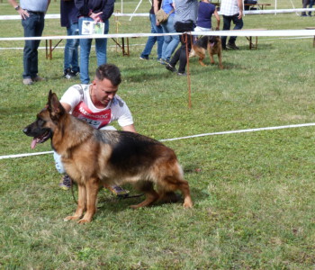 Foto: Stefan Lehnert