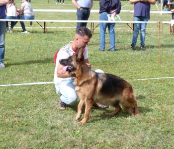 Foto: Stefan Lehnert