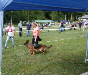 Foto: Stefan Lehnert