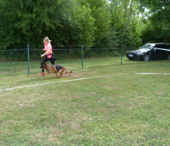 Foto: Stefan Lehnert