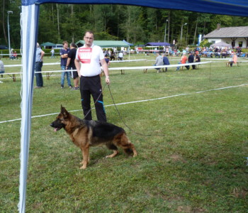 Foto: Stefan Lehnert