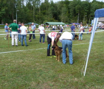 Foto: Stefan Lehnert