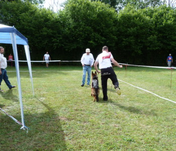 Foto: Stefan Lehnert