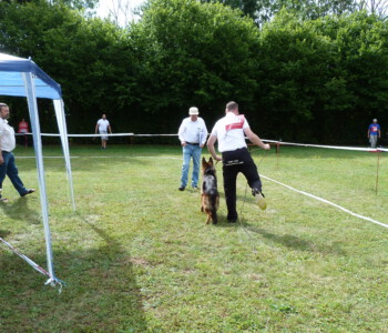 Foto: Stefan Lehnert