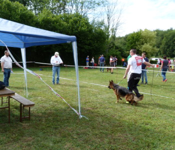 Foto: Stefan Lehnert