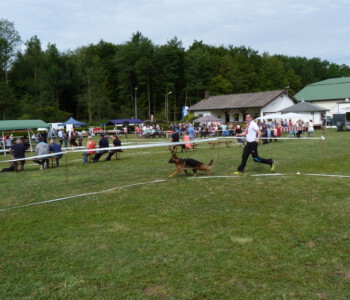 Foto: Stefan Lehnert