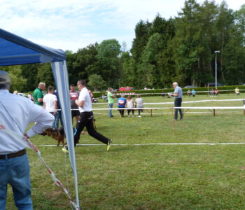 Foto: Stefan Lehnert