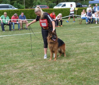 SG 1 Saabat vom Grafenwald