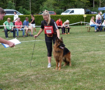 Foto: Stefan Lehnert