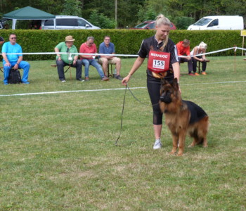 Foto: Stefan Lehnert