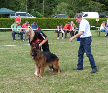 Foto: Stefan Lehnert