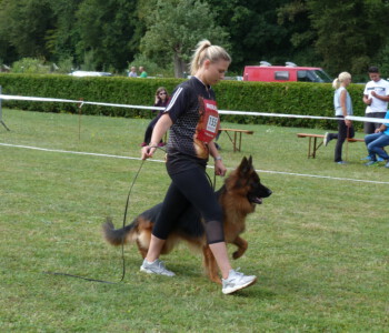 Foto: Stefan Lehnert