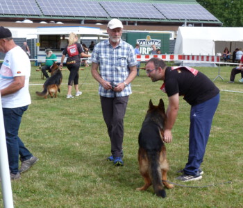 Foto: Stefan Lehnert