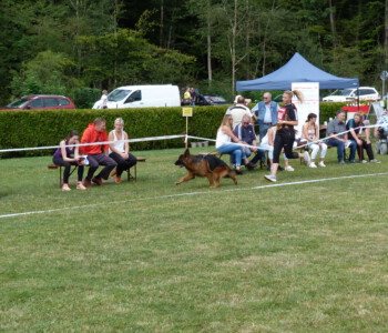 Foto: Stefan Lehnert