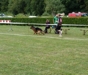 Foto: Stefan Lehnert