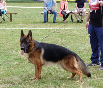 Foto: Stefan Lehnert