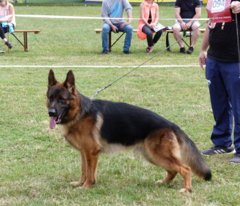 Foto: Stefan Lehnert