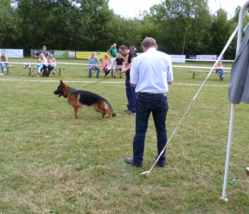 Foto: Stefan Lehnert