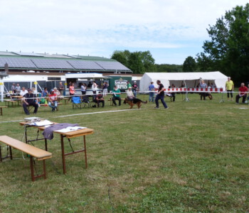 Foto: Stefan Lehnert