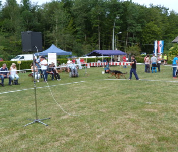 Foto: Stefan Lehnert