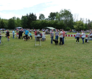 Foto: Stefan Lehnert