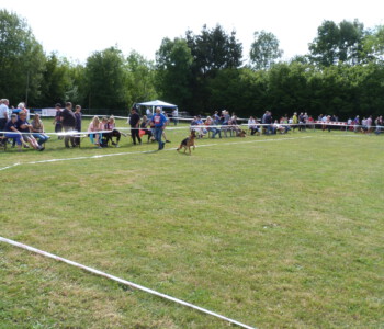 Foto: Stefan Lehnert