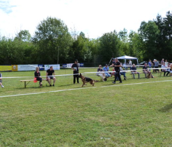 Foto: Stefan Lehnert