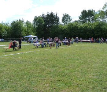 Foto: Stefan Lehnert