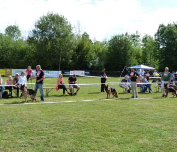 Foto: Stefan Lehnert