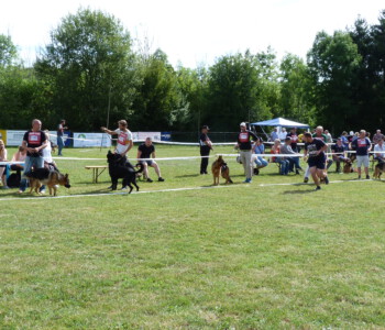 Foto: Stefan Lehnert