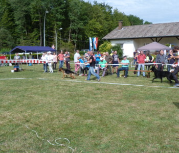 Foto: Stefan Lehnert