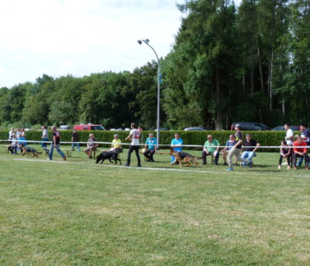 Foto: Stefan Lehnert