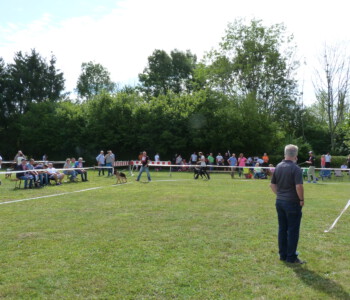 Foto: Stefan Lehnert