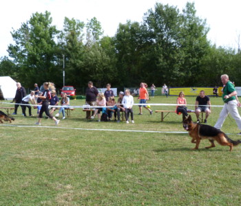 Foto: Stefan Lehnert