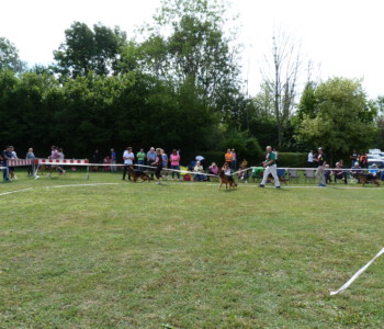 Foto: Stefan Lehnert