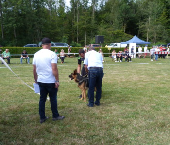 Foto: Stefan Lehnert