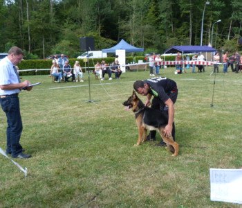 Foto: Stefan Lehnert