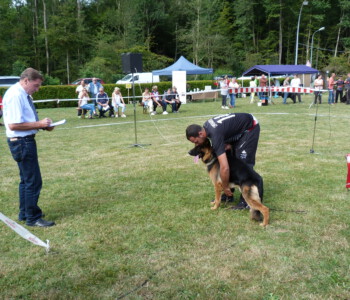 Foto: Stefan Lehnert