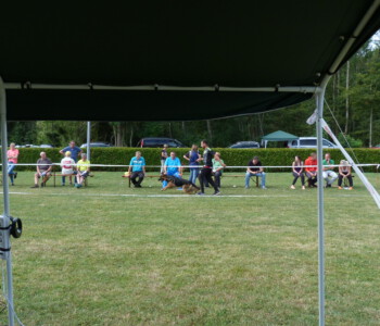 Foto: Stefan Lehnert