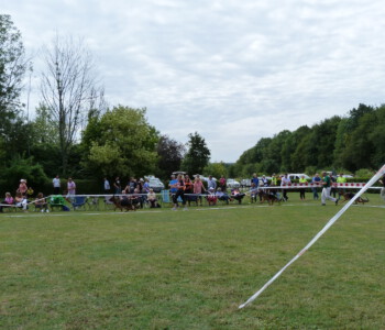 Foto: Stefan Lehnert