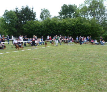 Foto: Stefan Lehnert