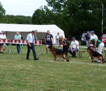 Foto: Stefan Lehnert