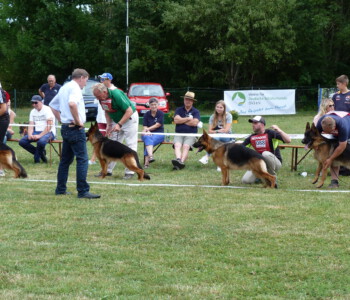 Foto: Stefan Lehnert