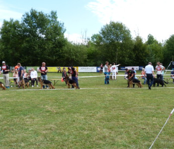 Foto: Stefan Lehnert