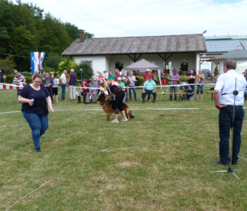 Foto: Stefan Lehnert