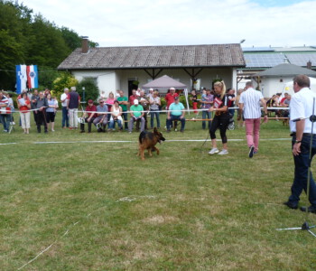 Foto: Stefan Lehnert