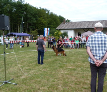 Foto: Stefan Lehnert