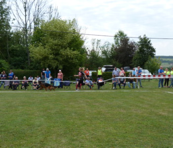 Foto: Stefan Lehnert