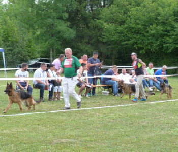 Foto: Stefan Lehnert