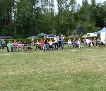 Foto: Stefan Lehnert